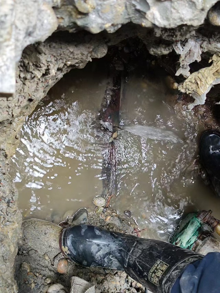 东区本地绿化水管漏水检测维修